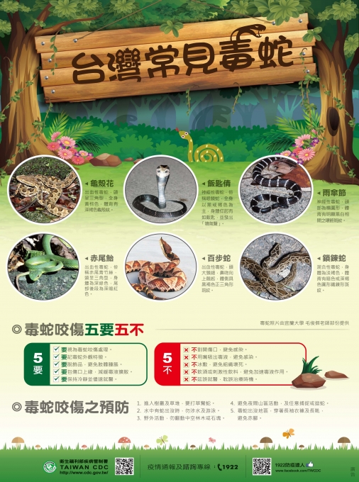 臺灣常見毒蛇列表；毒蛇咬傷注意事項