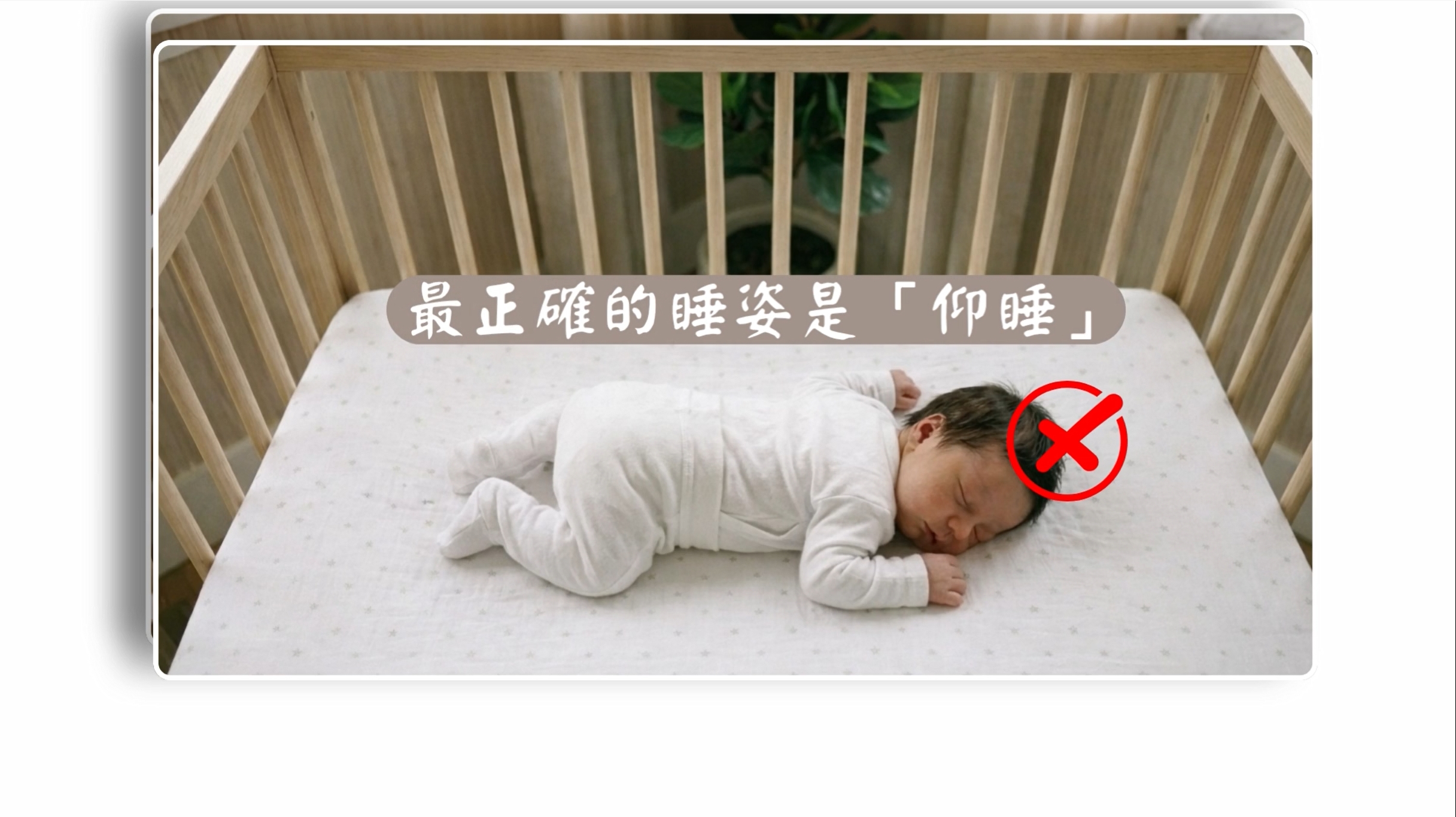 不趴睡
