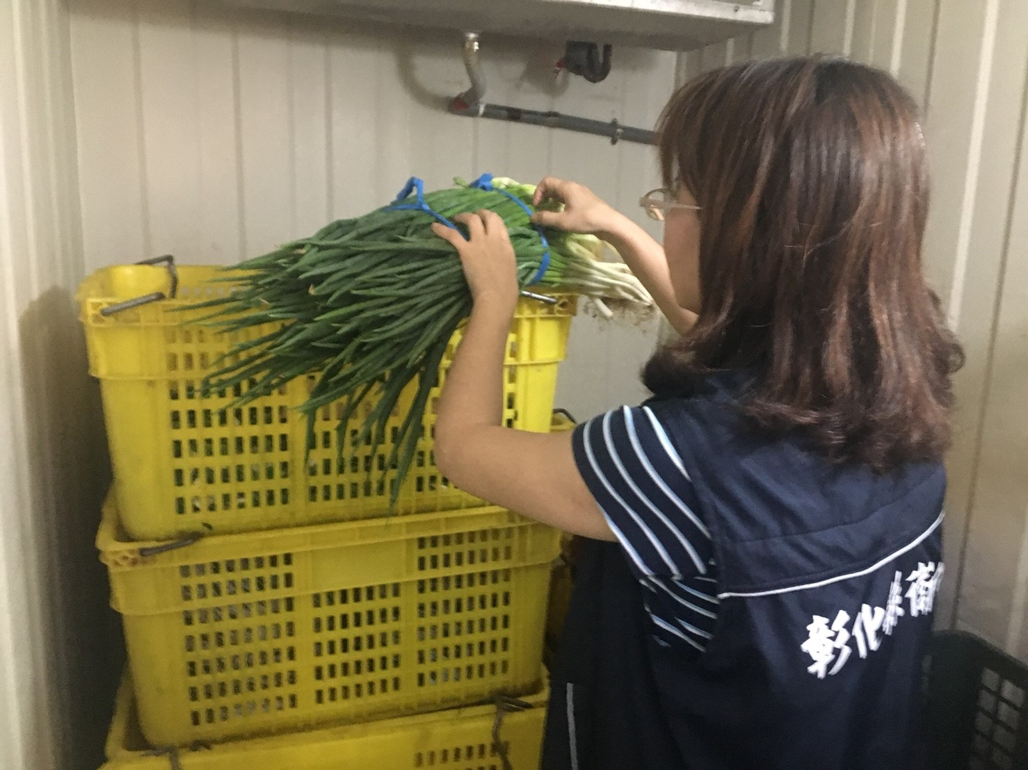 現場稽查照片