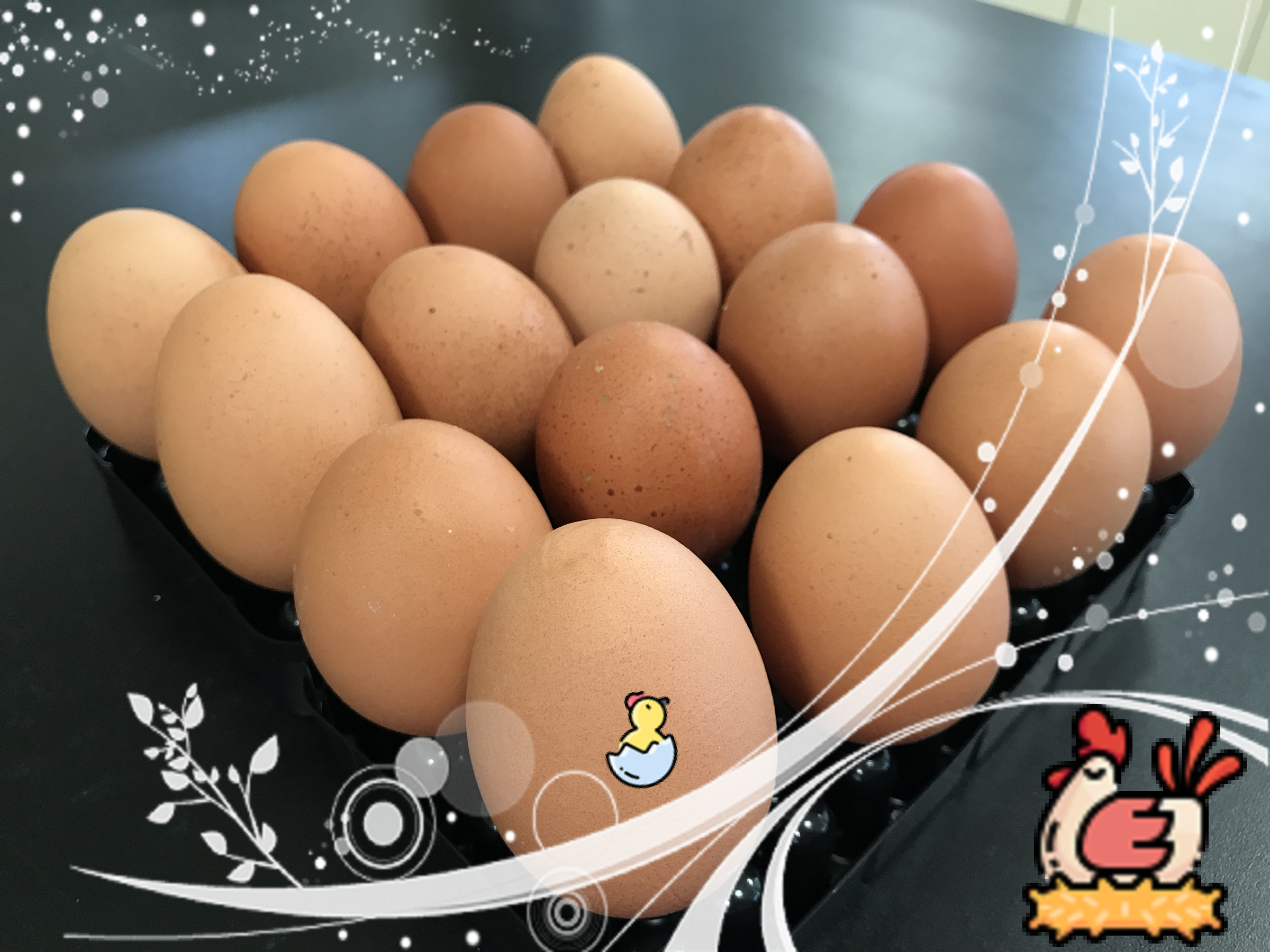 生鮮蛋品照片