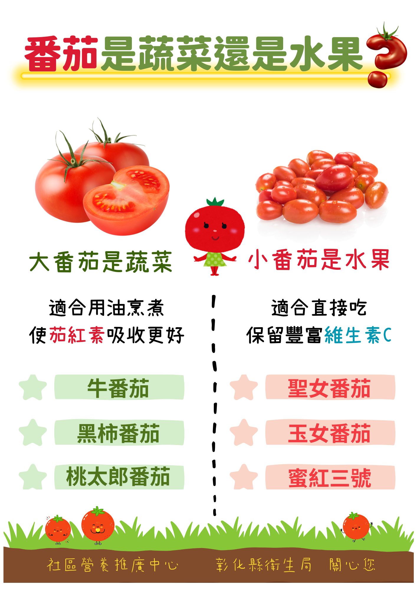 番茄是蔬菜還是水果?-圖片1