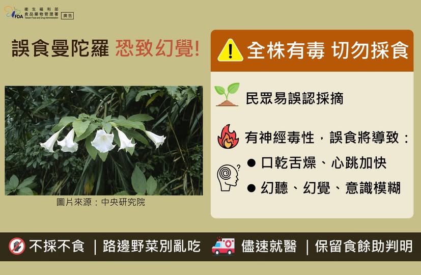 清明踏青注意安全 不採不食不明植物-圖片1