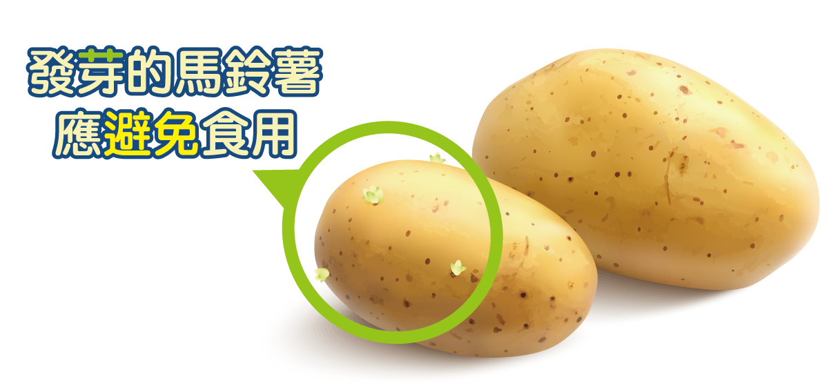 發芽的馬鈴薯究竟能否食用?
