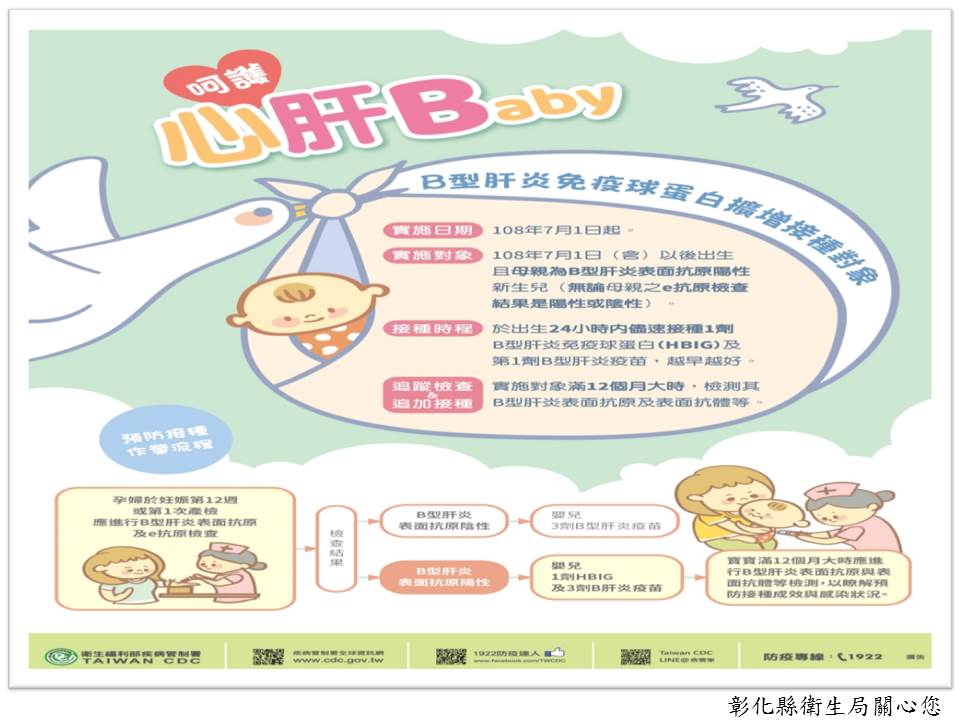 【呵護心肝Baby-預防B肝母嬰垂直感染再升級】