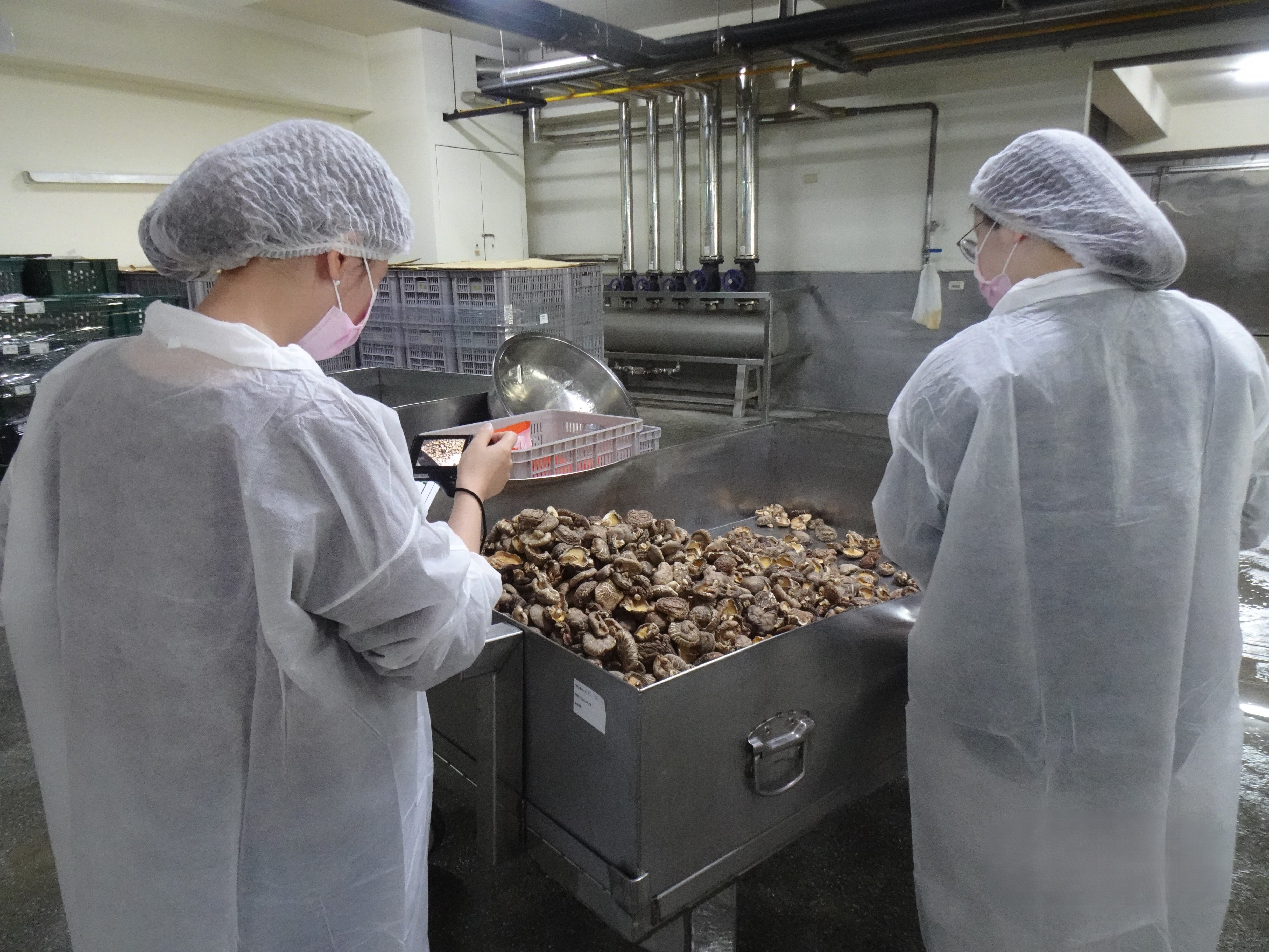 彰化縣衛生局公布端午應節食品抽驗結果-圖片2