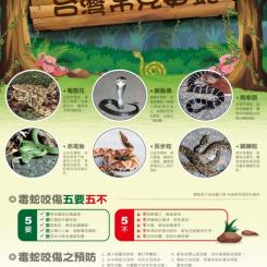 臺灣常見毒蛇列表；毒蛇咬傷注意事項