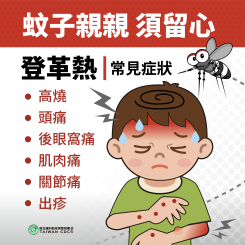 蚊子親親須留心 登革熱常見症狀