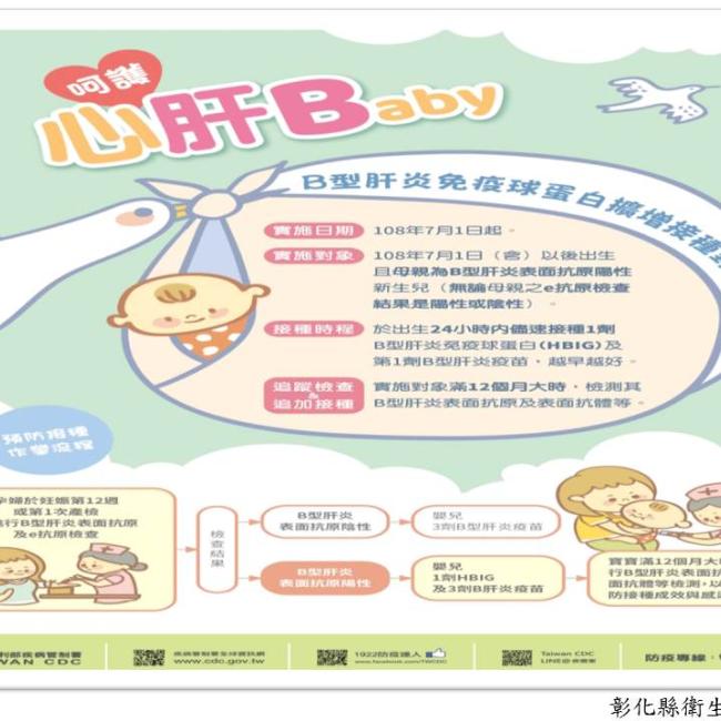 呵護心肝Baby-預防B肝母嬰垂直感染再升級