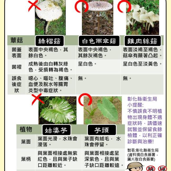 『不採不食』來路不明野菇及植物,避免誤食中毒 『不採不食』來路不明野菇及植物,避免誤食中毒