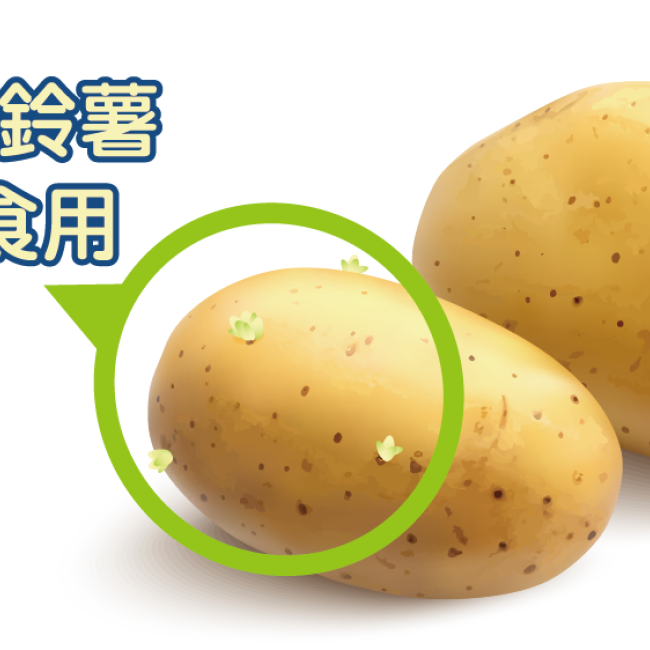 發芽的馬鈴薯究竟能否食用? 發芽的馬鈴薯究竟能否食用?