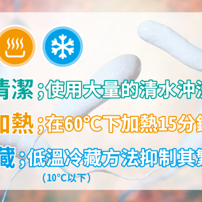 藏在海鮮裡的危機!認識腸炎弧菌