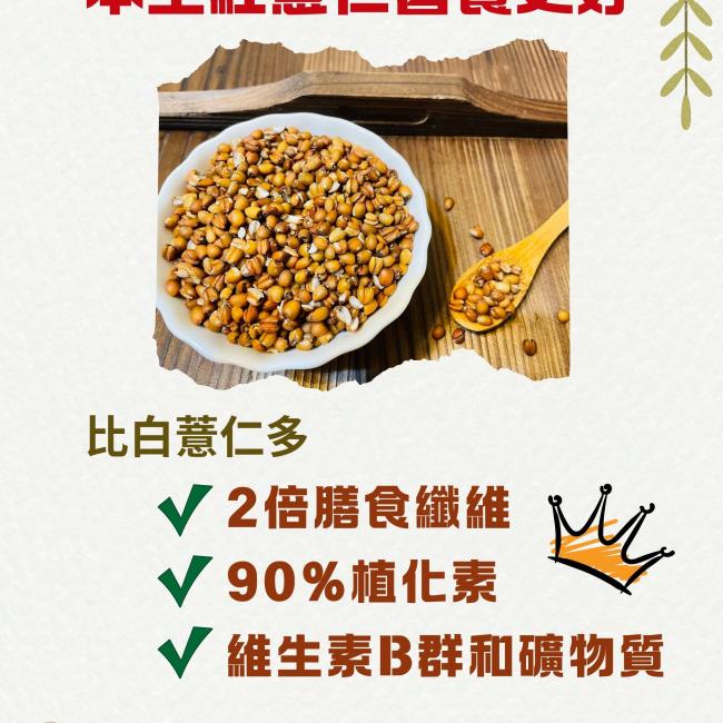 本土紅薏仁營養更好 本土紅薏仁營養更好