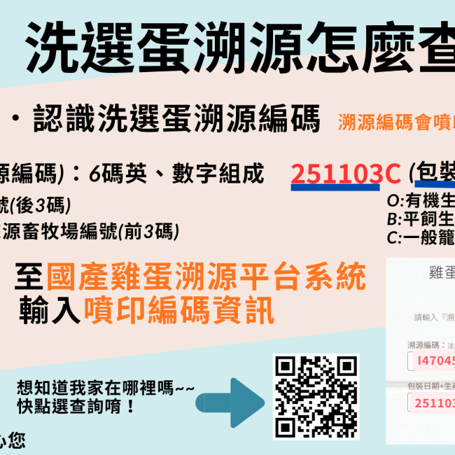 洗選蛋溯源怎麼查？