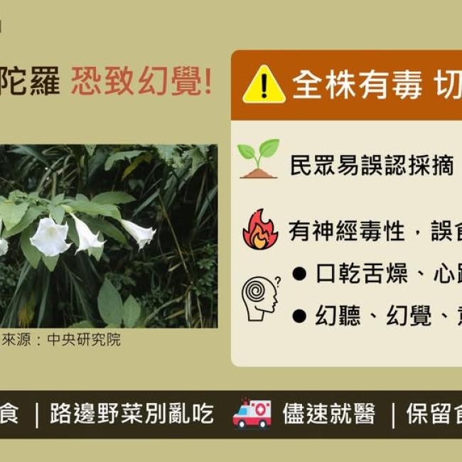清明踏青注意安全 不採不食不明植物
