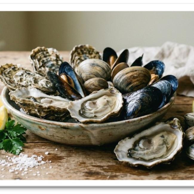 掌握貝類食安防護三步驟，守護海味與健康